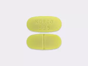 NORCO 10/325MG